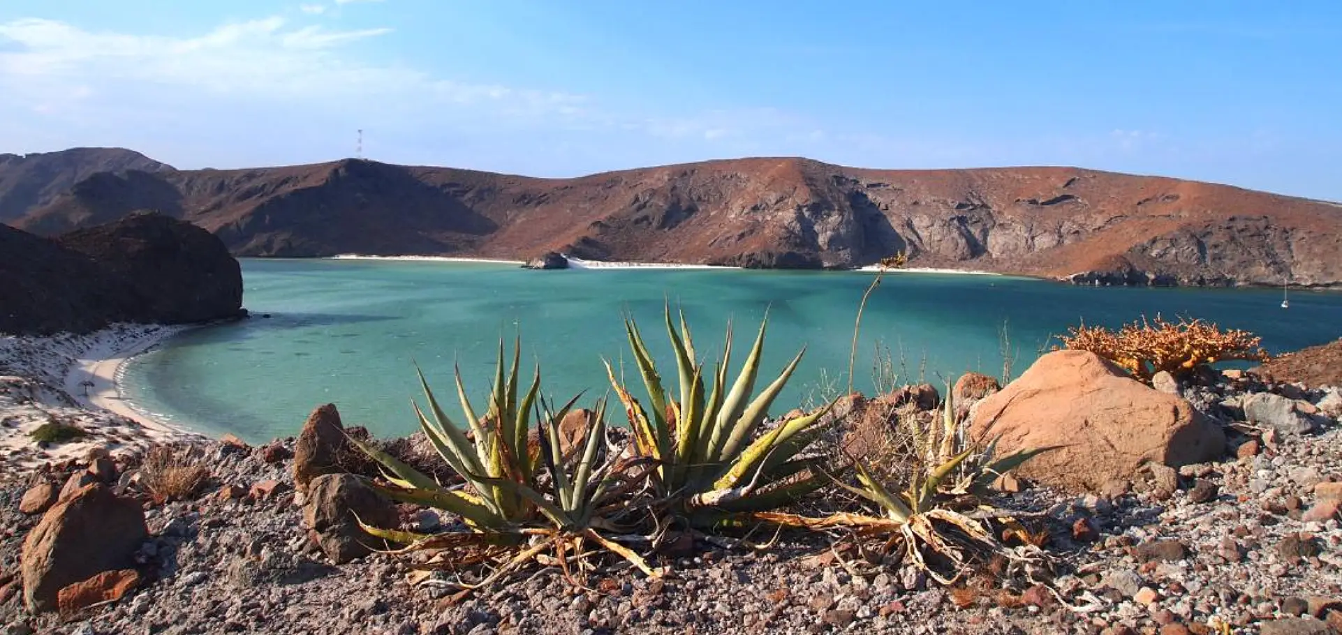 Playa Balandra La Paz, BCS.